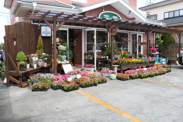 「花国」　（福島県いわき市）の花屋店舗写真1