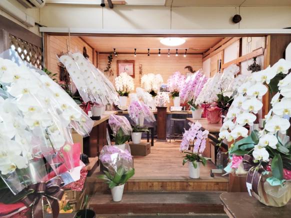 「花国」　（福島県いわき市）の花屋店舗写真4